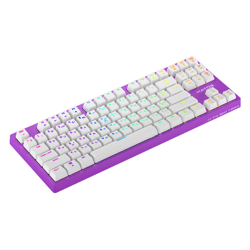 Tkl purple. Клавиатура Hator Rockfall EVO TKL. Hator Эво ТКЛ клавиатура. Hator Rockfall 3. Hator клавиатура купить.